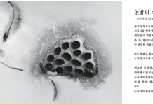 풍경이 있는 묵상_이정우 목사